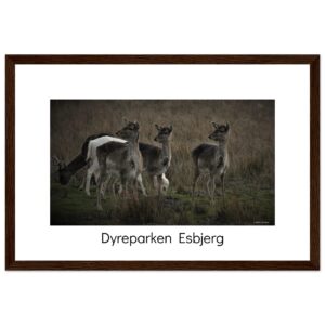 1b359ce7-bcf3-4c3c-a85b-c5445a9e7b06