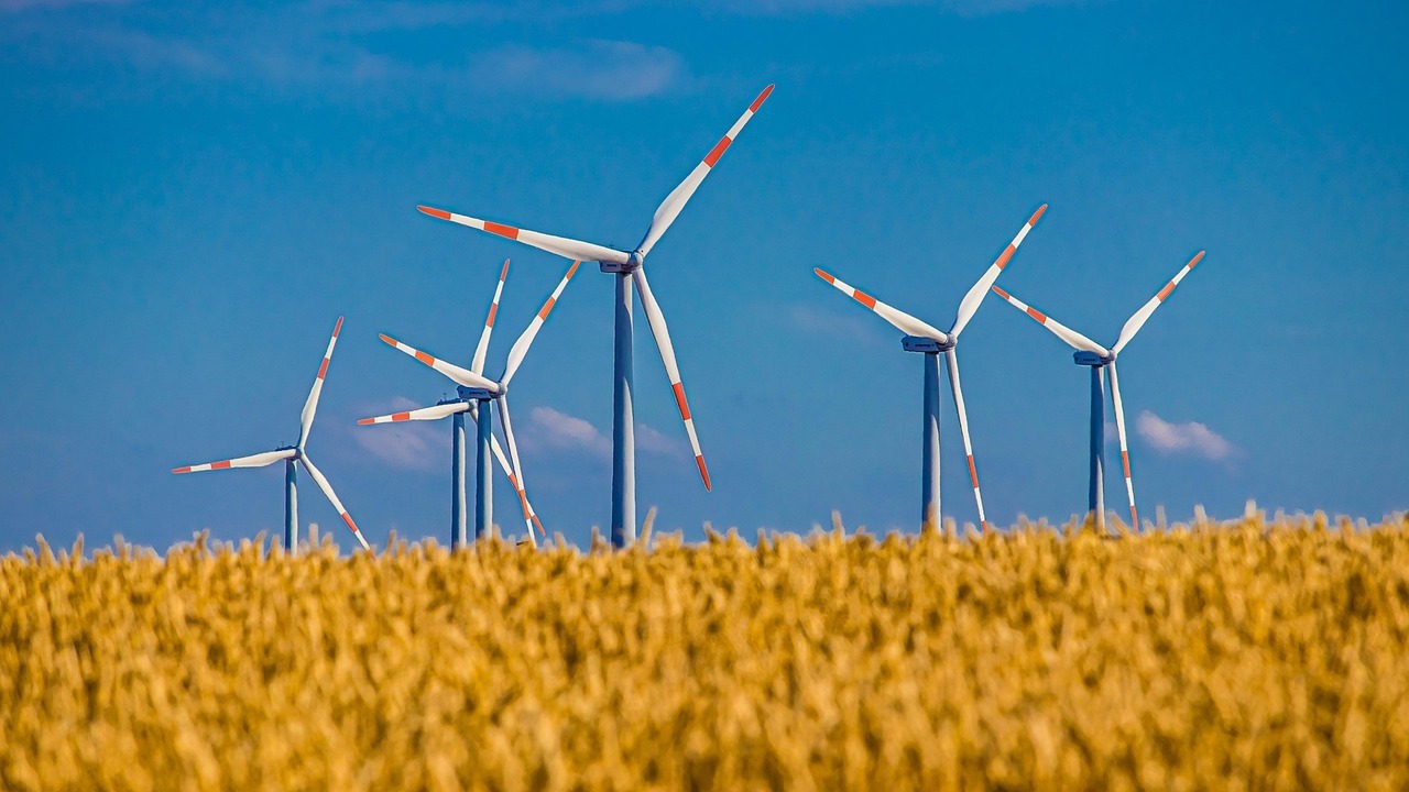 Strøm fra danske vindmøller fra Vest Energi.