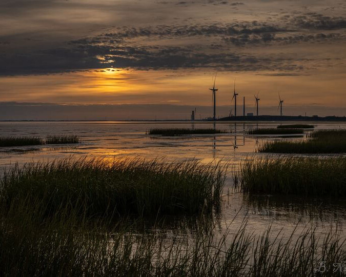 Roborg ved Tjæreborg med kig til Vadehavet. Esbjerg i baggrunden. Foto: Brian Nilsson.