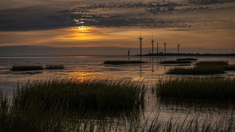 Roborg ved Tjæreborg med kig til Vadehavet. Esbjerg i baggrunden. Foto: Brian Nilsson.