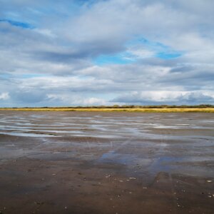 THE WADDEN SEA PRINTS 2