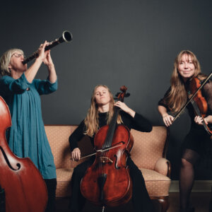 Folk Ensemble. Pressefoto.