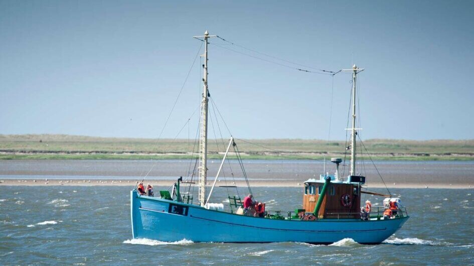 Man kan i perioder af året komme på togt med Claus Sørensen-kutteren E1. Arkivfoto: Museum Vest.