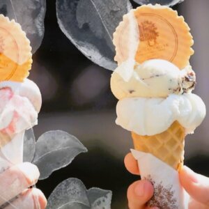 To kugler for en tier - her i vaffel - hos Gelato di Natura på særlig dato. Foto: PR.