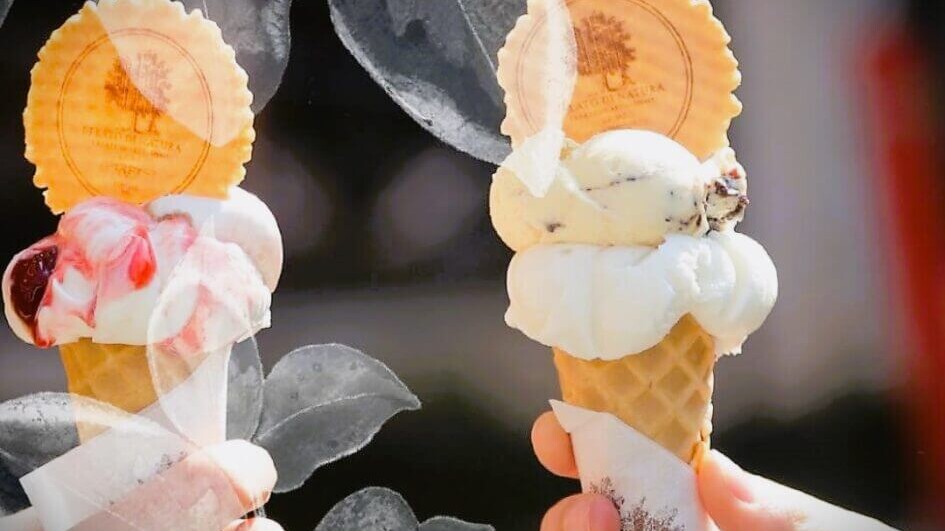 To kugler for en tier - her i vaffel - hos Gelato di Natura på særlig dato. Foto: PR.