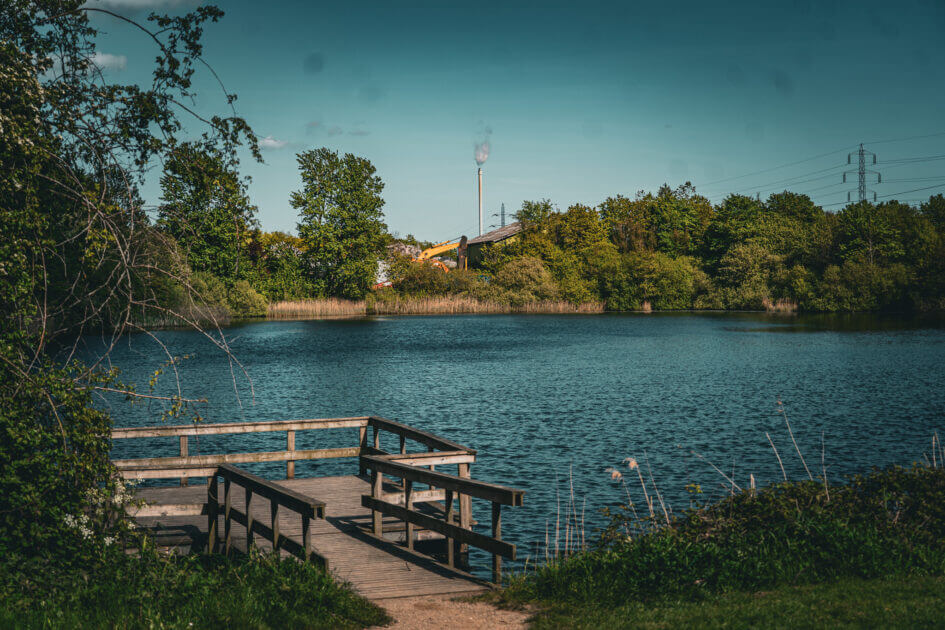Paradissøerne er et skjult åndehul i Østerbyen, hvor bevoksningen og træerne får lov at gro forholdsvist vildt. Foto: Fjodor Pedersen.