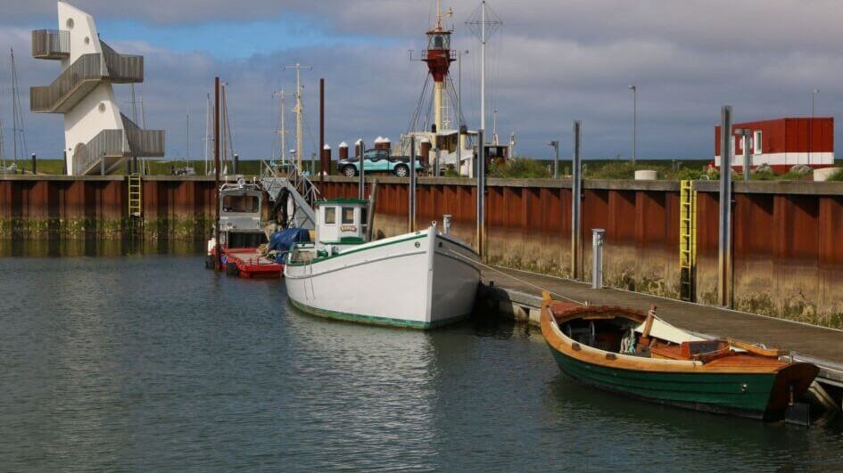 Det er jo ikke til at se, at gamle Karen har rundet 100 år. Foto: Johnny Tauman.