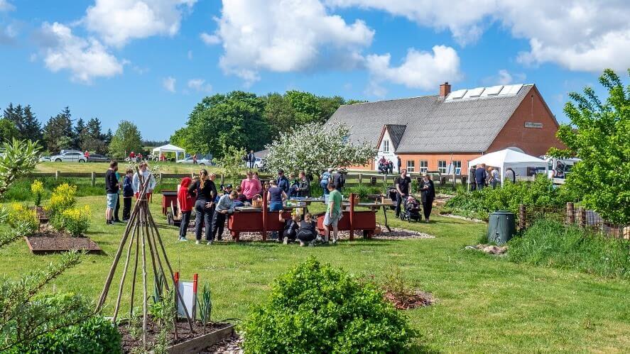 Marbækdagen. Stemningsbilleder fra tidligere år. Fotos: Pixel, Esbjerg Kommune og Myrthue.