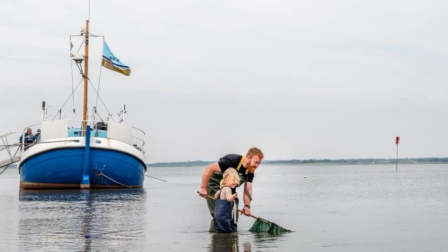 Marbækdagen. Stemningsbilleder fra tidligere år. Fotos: Pixel, Esbjerg Kommune og Myrthue.