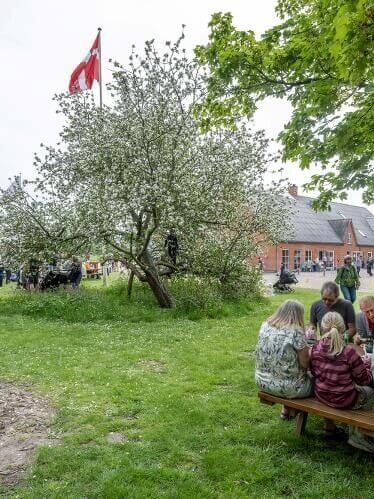Marbækdagen. Stemningsbilleder fra tidligere år. Fotos: Pixel, Esbjerg Kommune og Myrthue.