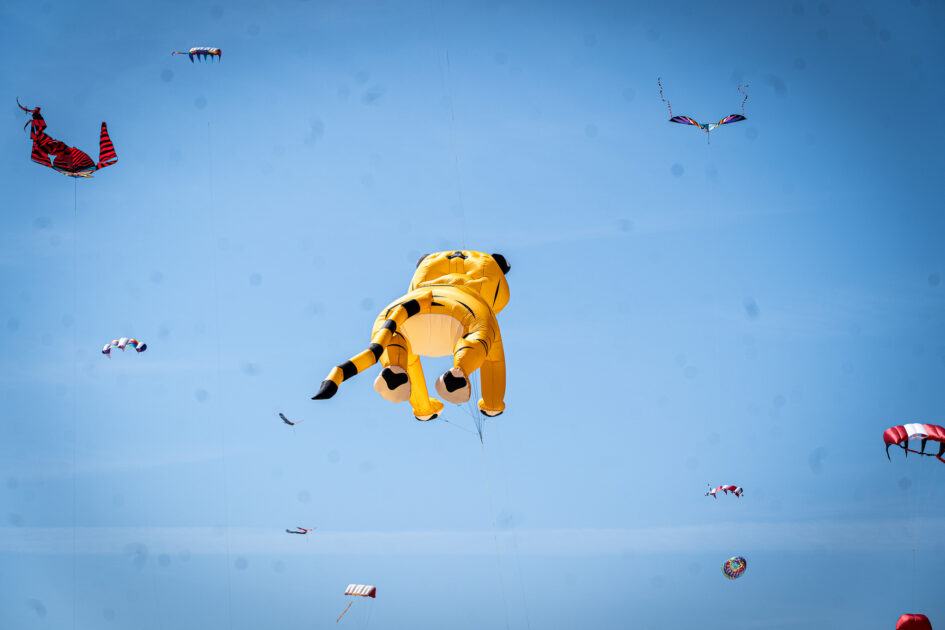 En kæmpemæssig tigerdrage svæver majestætisk over stranden ved Fanø Bad. Foto: Fjodor Pedersen.