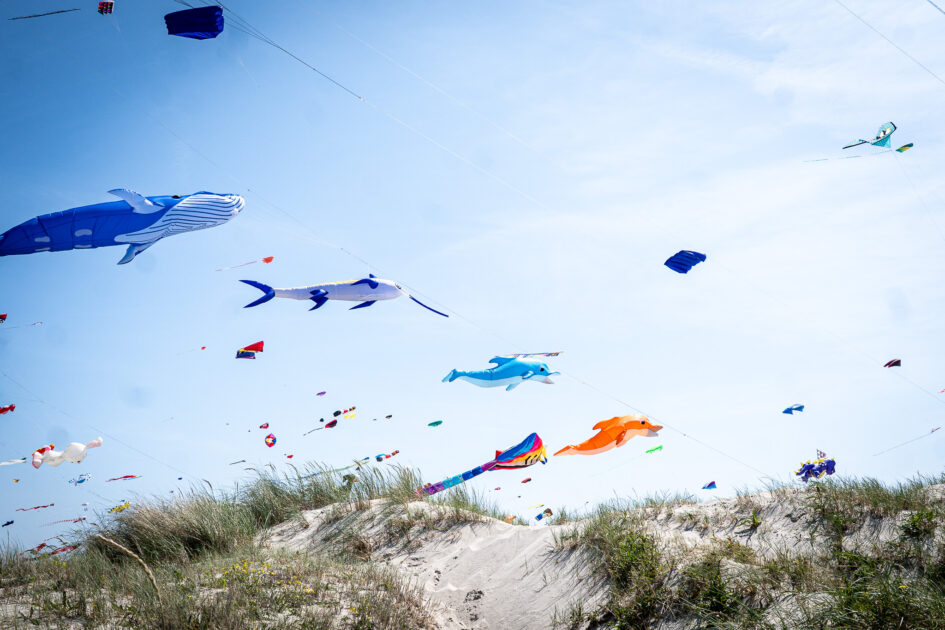 Hvaler og delfiner “svømmede” hen over de grønne klitter – ganske spektakulært. Foto: Fjodor Pedersen.