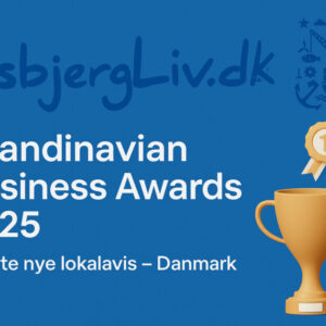 Scandinavian Business Awards 2025.