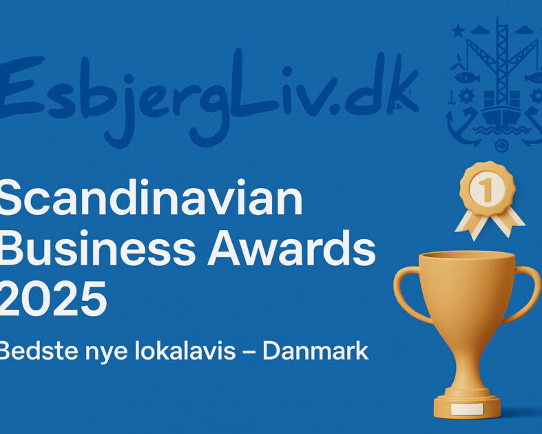 Scandinavian Business Awards 2025.