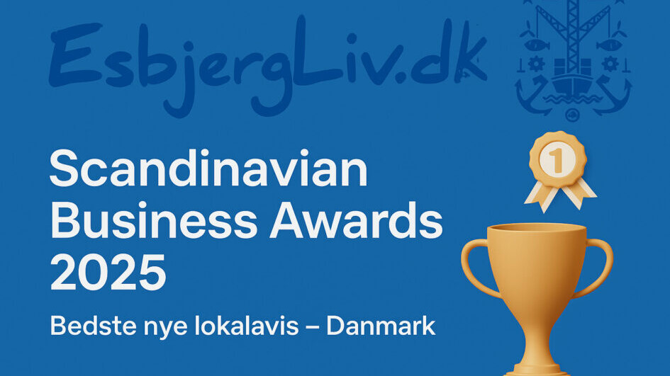 Scandinavian Business Awards 2025.