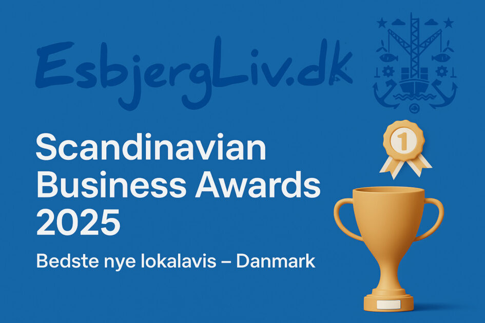 Scandinavian Business Awards 2025.