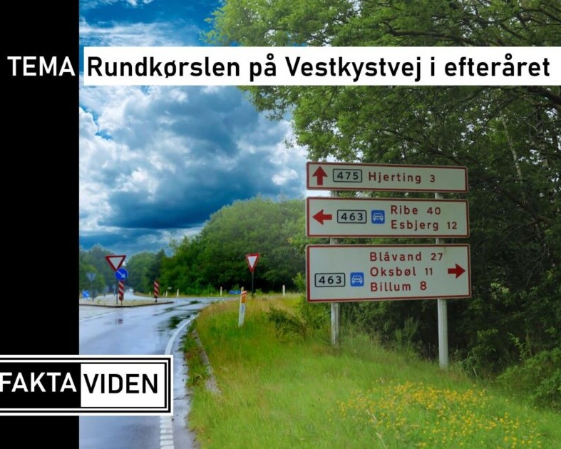 Anlæg af rundkørsel på Vestkystvej lukker vej i 14 uger. Foto/Grafik: Johnny Tauman.