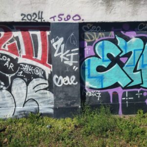 Graffiti på en mur bag Føtex Food i Kronprinsensgade. Foto: Henrik List.