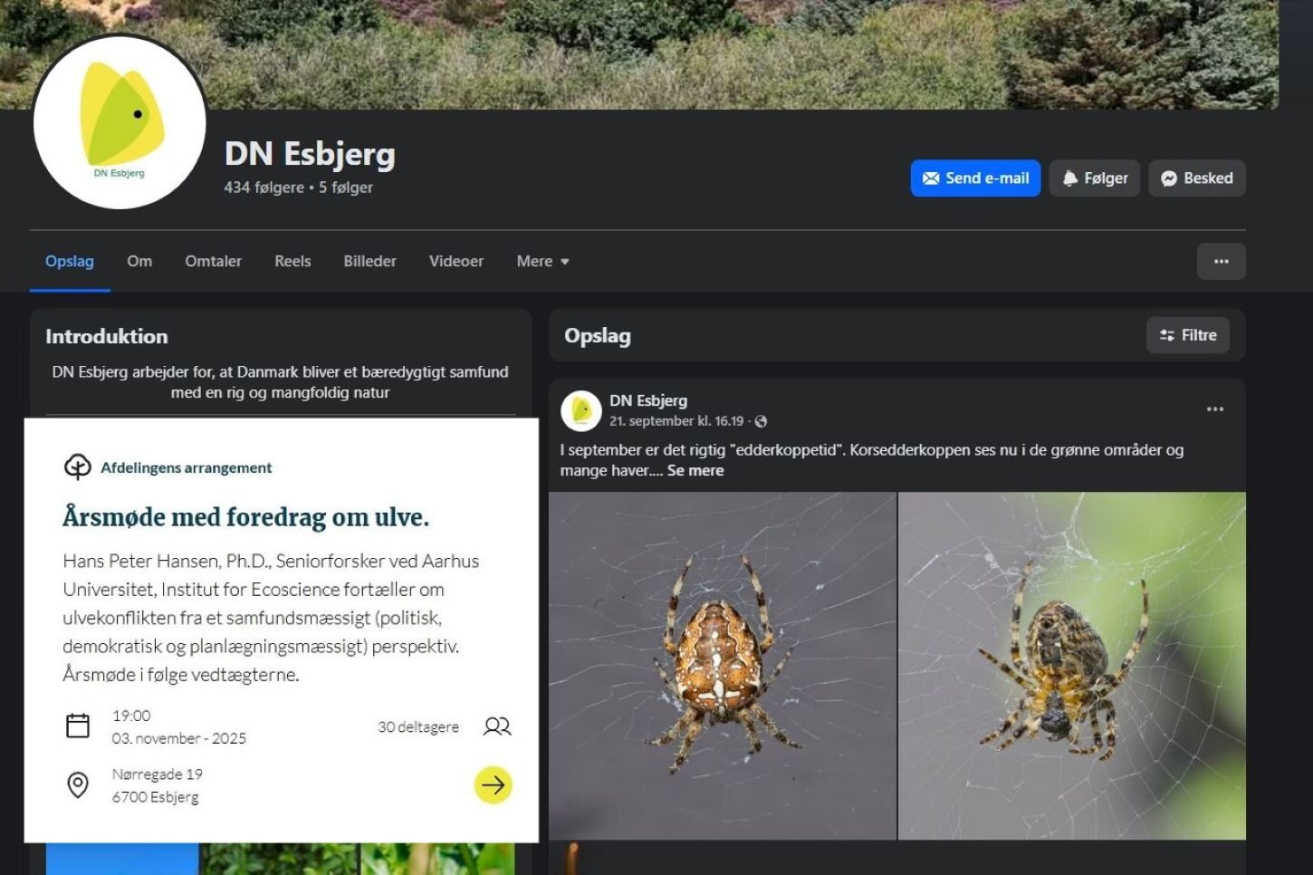 Skærmbillede: DN Esbjergs Facebook-side.