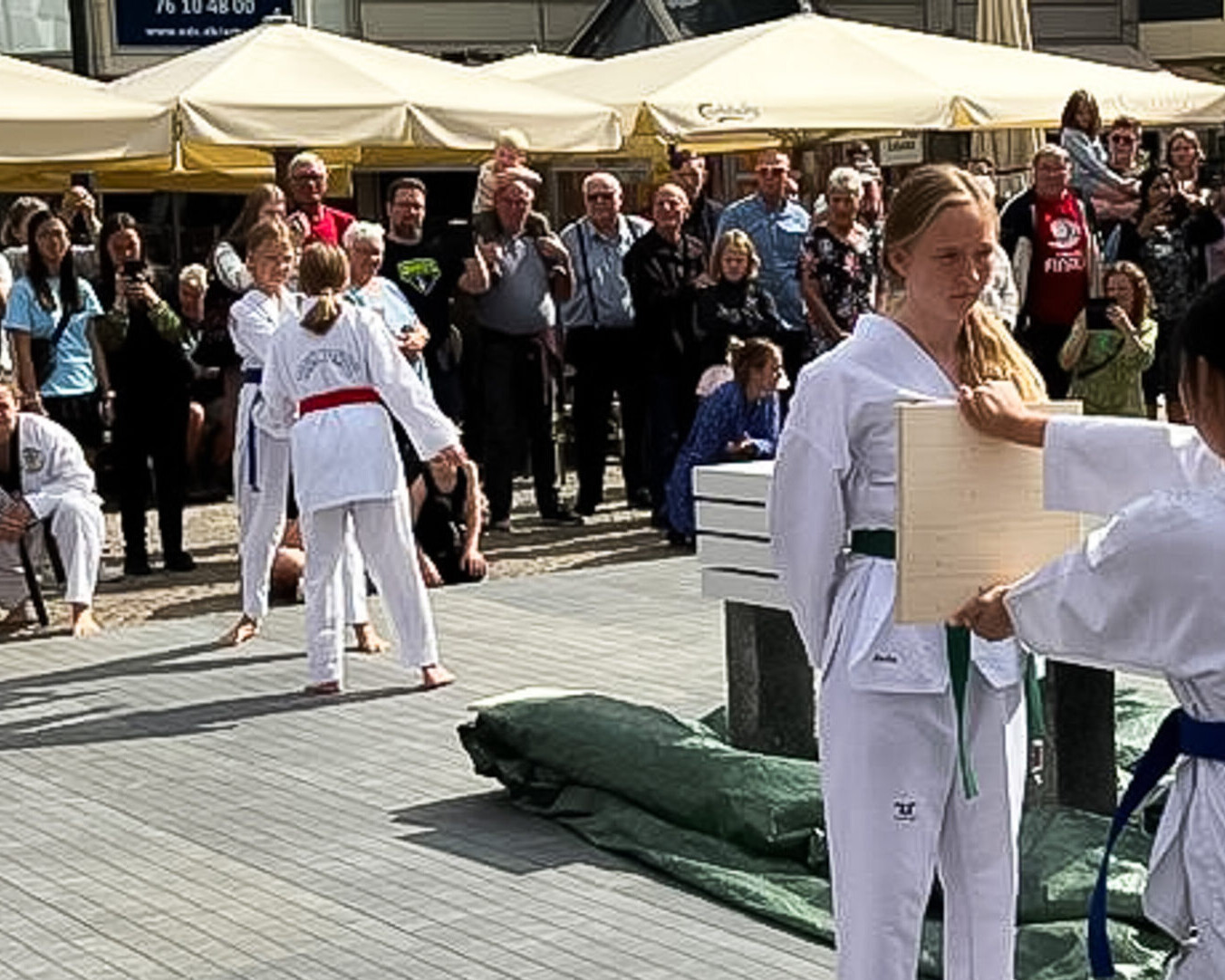 Her er det kæmpere fra en af byens taekwondo-klubber ved en tidligere udgave af Foreningernes Dag. Foto: Esbjerg Kommune.