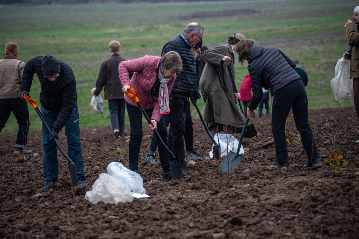 Søndag skal der plantes ny skov - og alle kan være med. Foto: Casper Tybjerg/Klimaskovfonden.