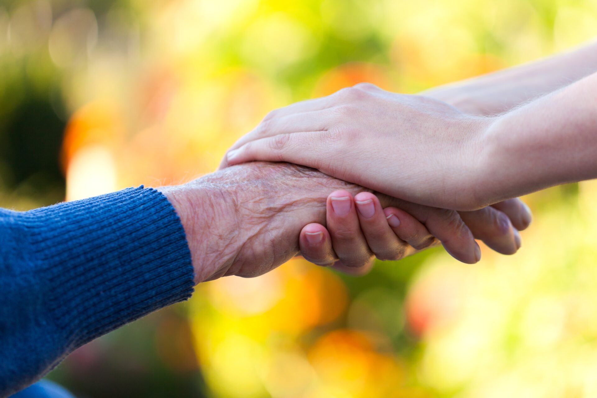 Ny specialiseringsuddannelse skal sikre høj kvalitet i omsorgen for borgere med demens. Genrefoto: Colourbox.