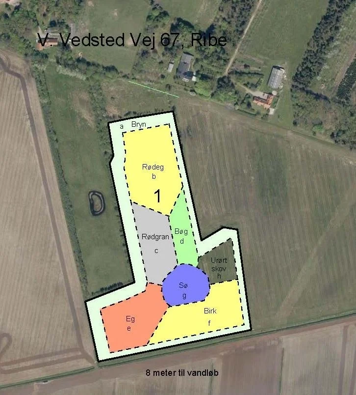 Kort over den kommende klimaskov ved V. Vedsted Vej 67 i Ribe. Projektet dækker 5,7 hektar med blandet skov, skovbryn og en lille sø.