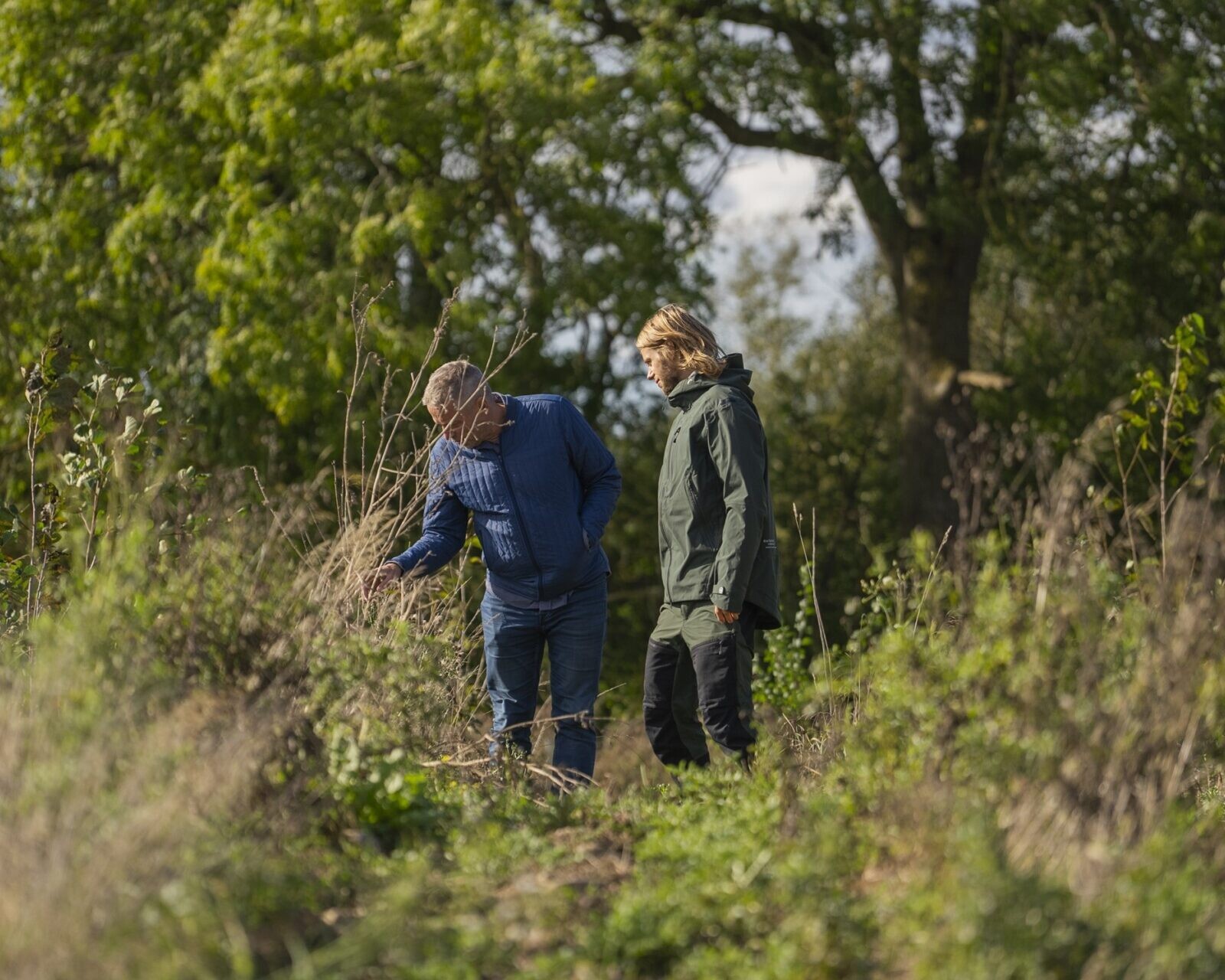 Nye skove kan plantes med tilskud fra Klimaskovfonden. Det bliver klimarobuste skove med mange forskellige træer og buske. Pressefoto.
