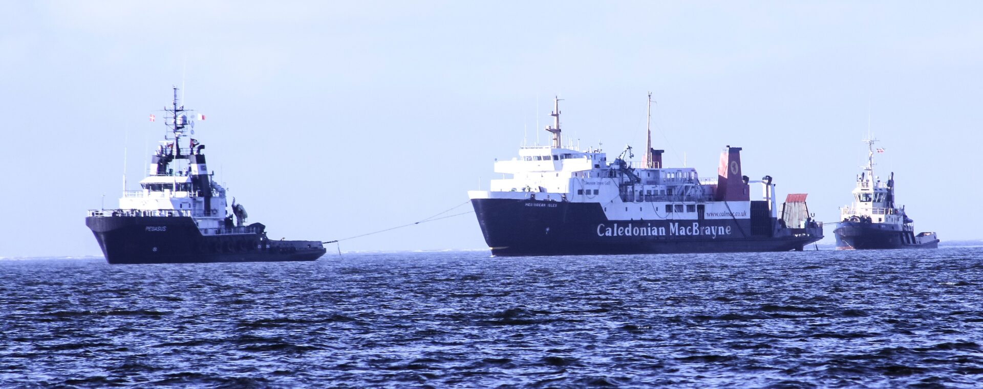 Pegasus forrest - og Sigyn sidst. Foto: Johnny Tauman.