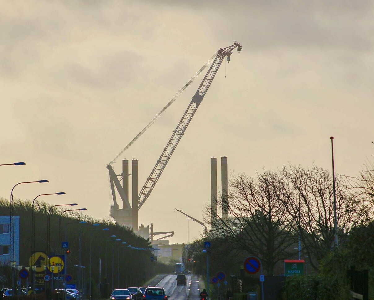 Brave tern fotograferet fra Sædding Centret