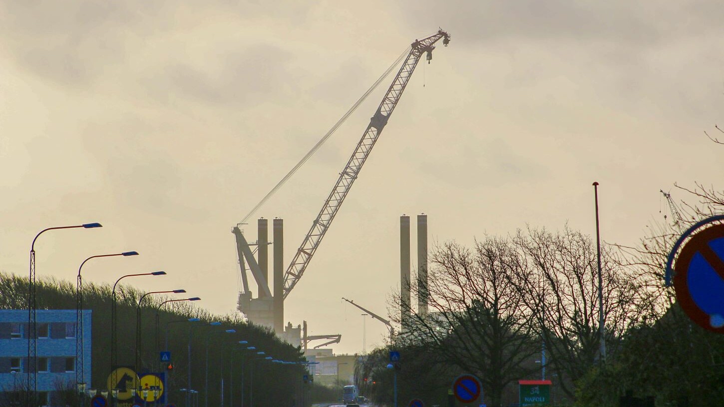 Brave tern fotograferet fra Sædding Centret