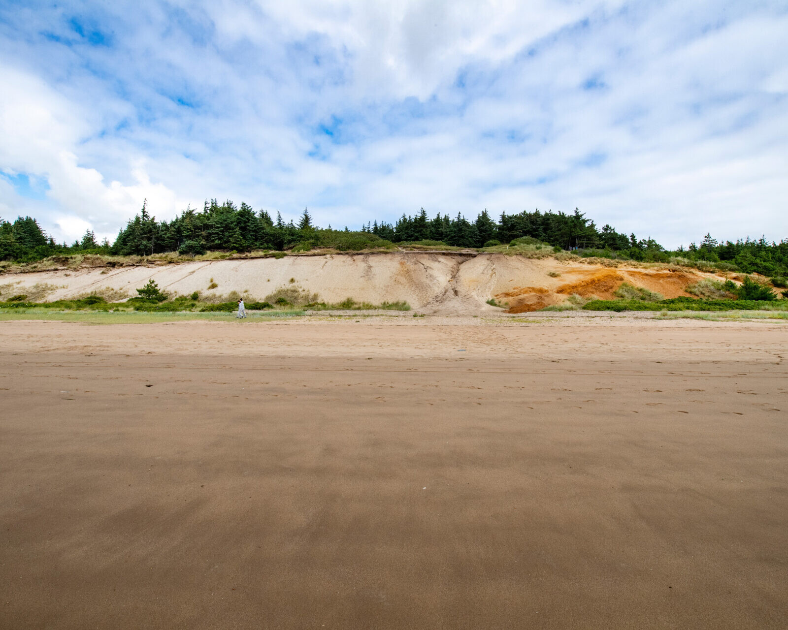Gulebjerg i Marbæk, der ligger ved kysten ud mod Ho Bugt. Foto: Esbjerg Kommune.