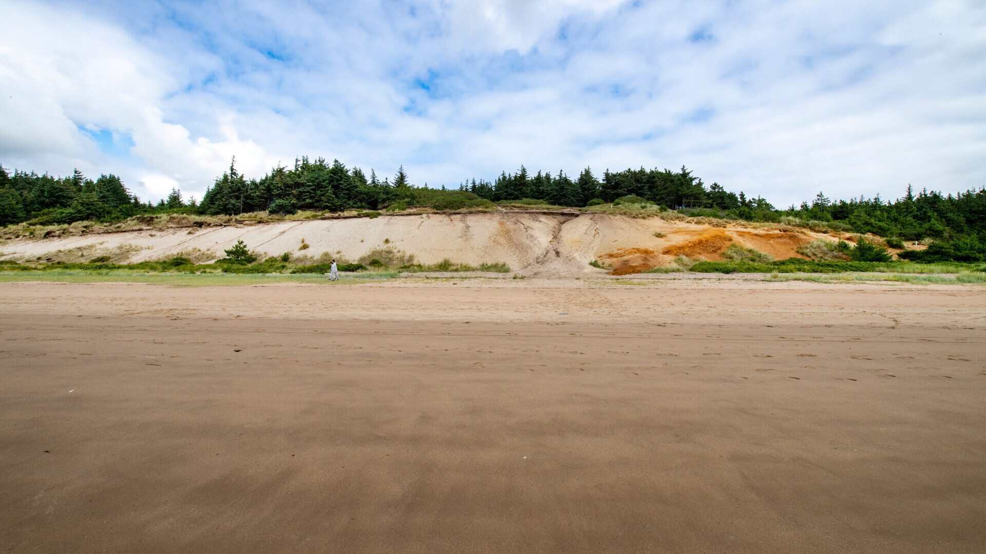 Gulebjerg i Marbæk, der ligger ved kysten ud mod Ho Bugt. Foto: Esbjerg Kommune.