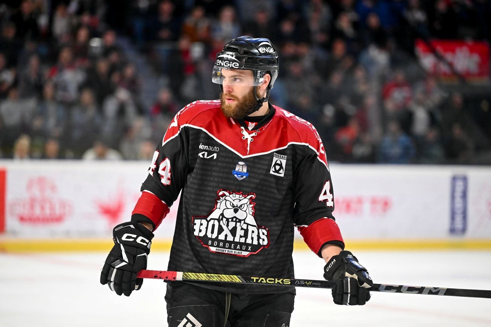 Fransk-canadiske Kevin Spinozzi. Pressefoto.