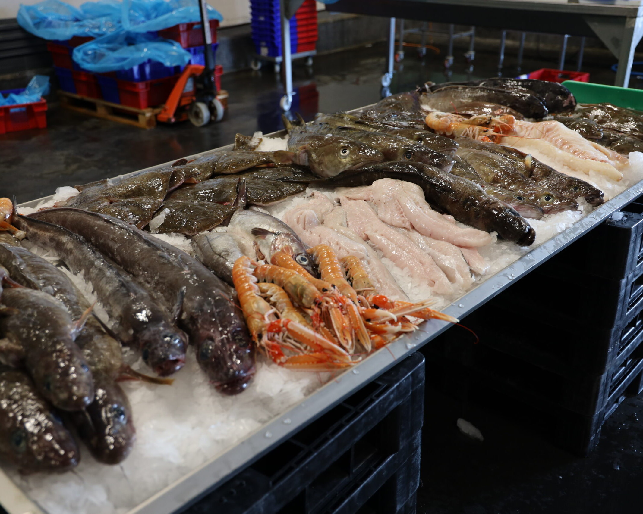 Danskerne vil gerne spise mere fisk, men prisen holder mange tilbage. Genrefoto.