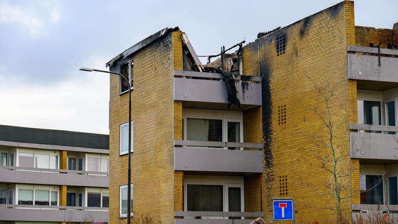 Platanvej torsdag eftermiddag. Foto: Łukasz Kordula.