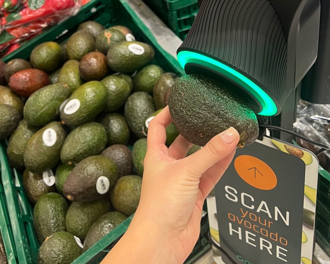 Salling Group har i mange år forsøgt at løse udfordringen med u- eller overmodne avocadoer, og nu lader det til, at koden er knækket. PR-foto.