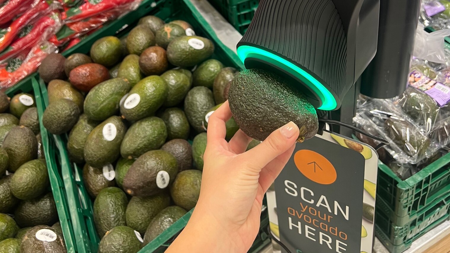 Salling Group har i mange år forsøgt at løse udfordringen med u- eller overmodne avocadoer, og nu lader det til, at koden er knækket. PR-foto.