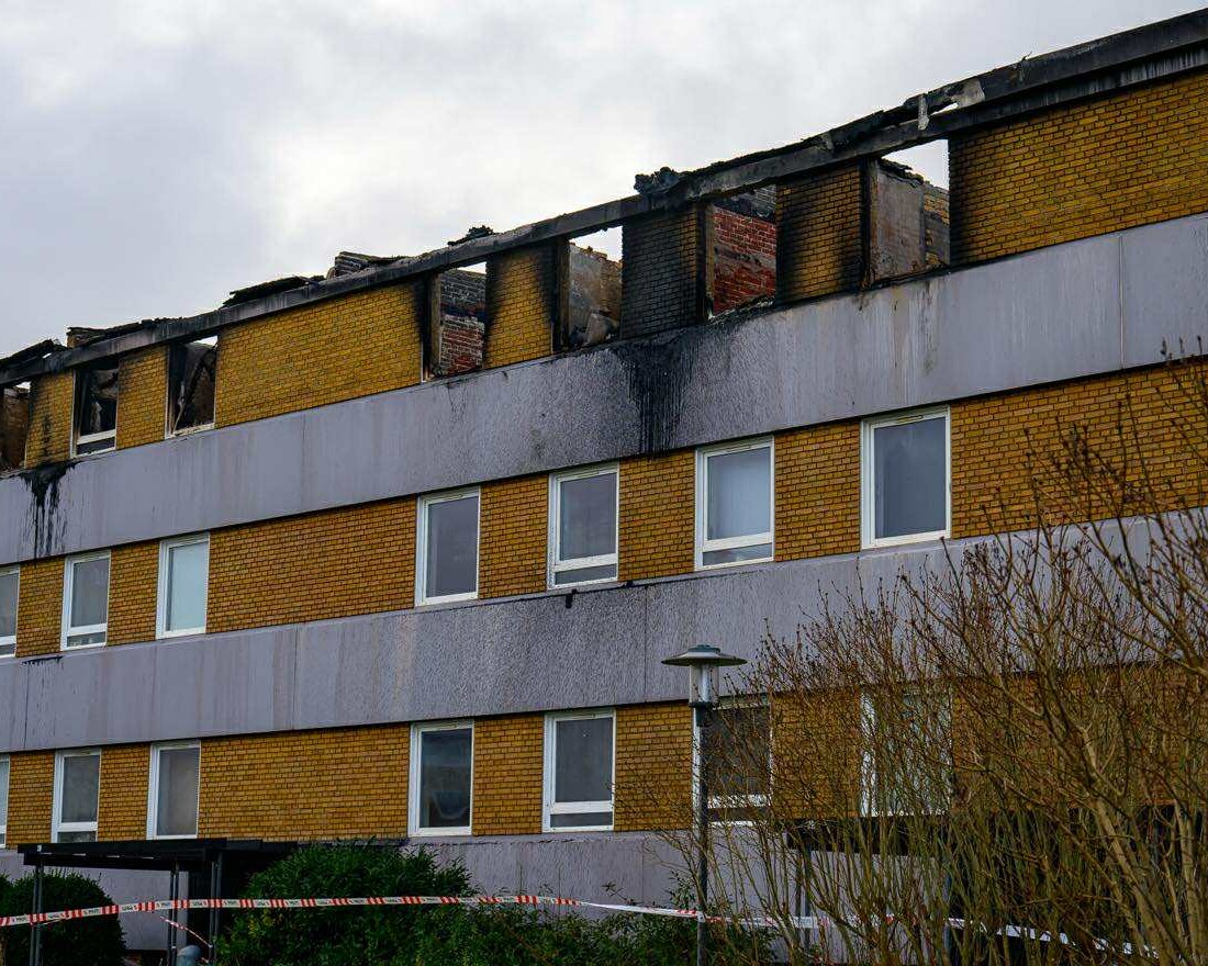 Platanvej torsdag eftermiddag. Foto: Łukasz Kordula.