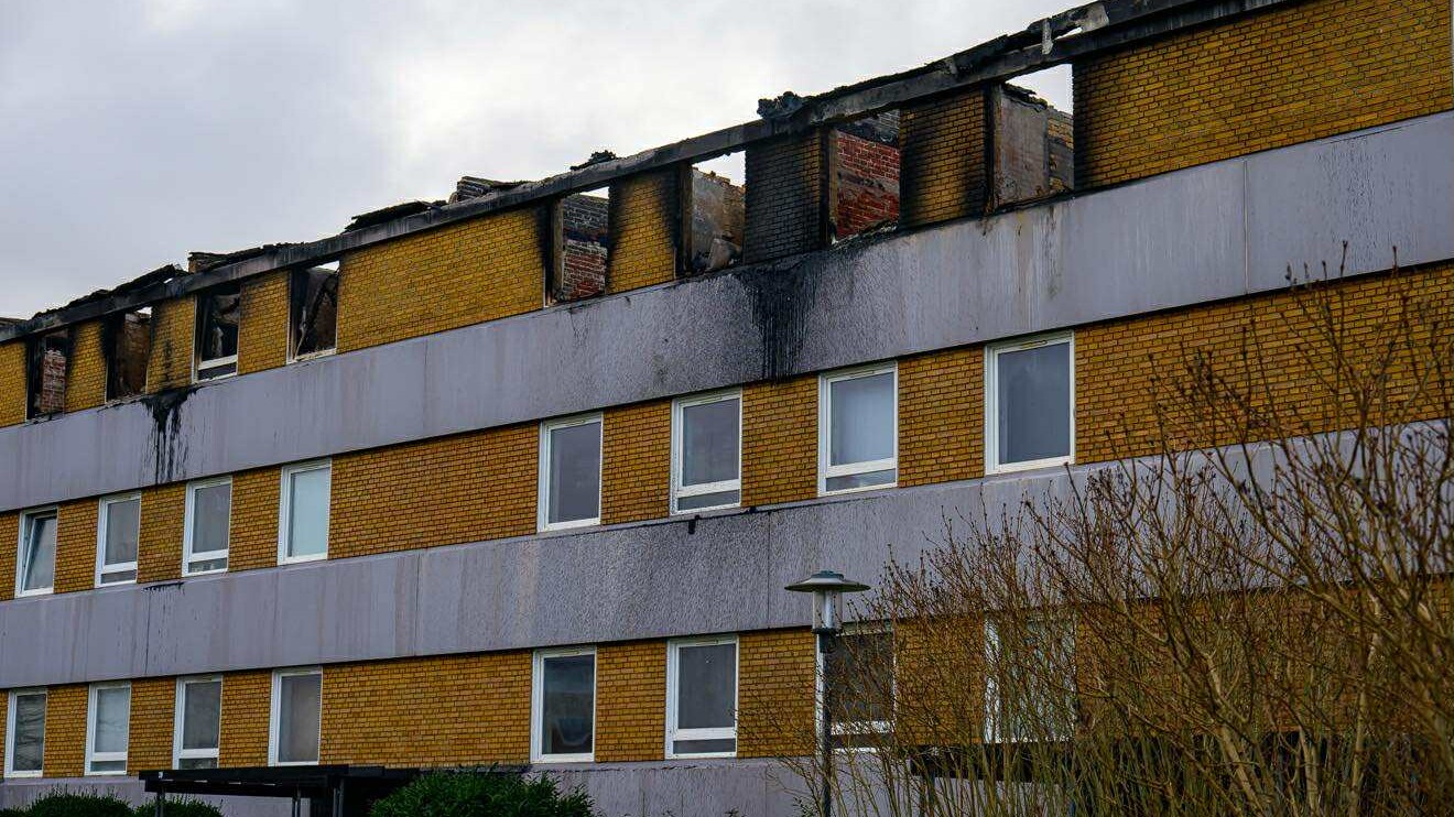 Platanvej torsdag eftermiddag. Foto: Łukasz Kordula.