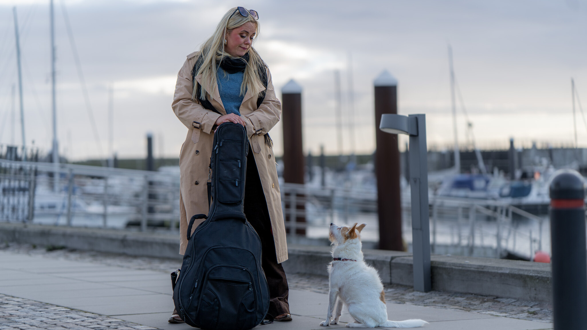 Omverdenens forventninger kommer i mange afskygninger. Ribehunden Gerda forventer bare at få en bold at lege med. Foto: Fjodor Pedersen.