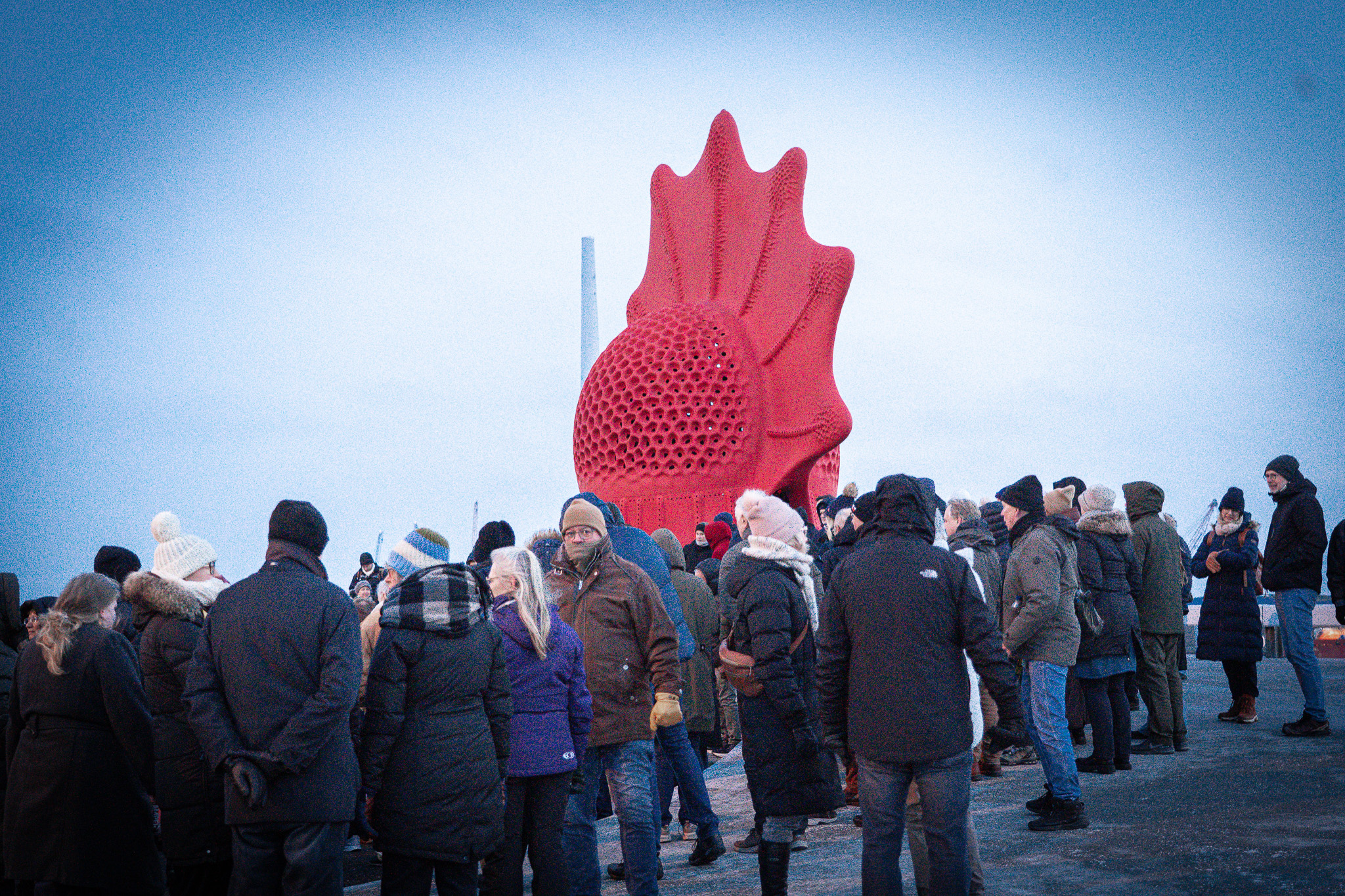 Flere hundrede var stimlet sammen i den bidende vinterkulde på kajen. Foto: Fjodor Pedersen.