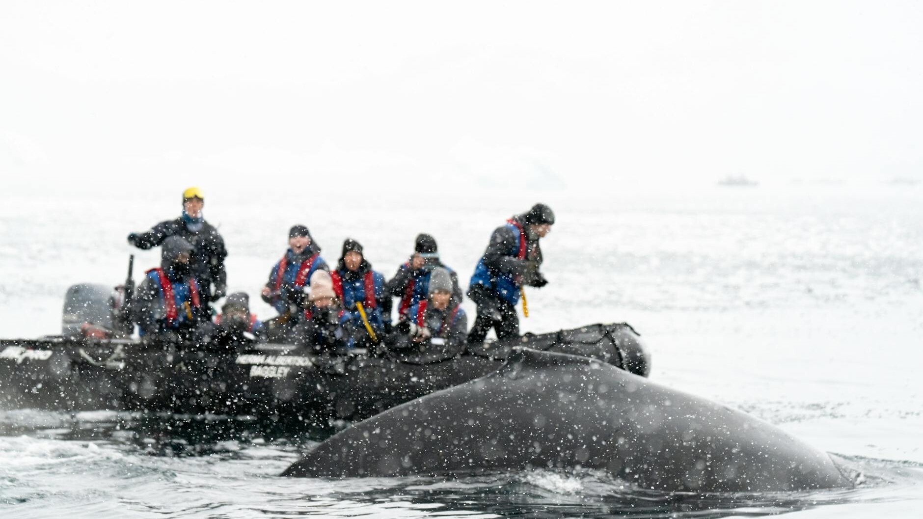 Situationen her på billedet har intet med den aktuelle sag at gøre. Arkivfoto: Hugo Sykes.