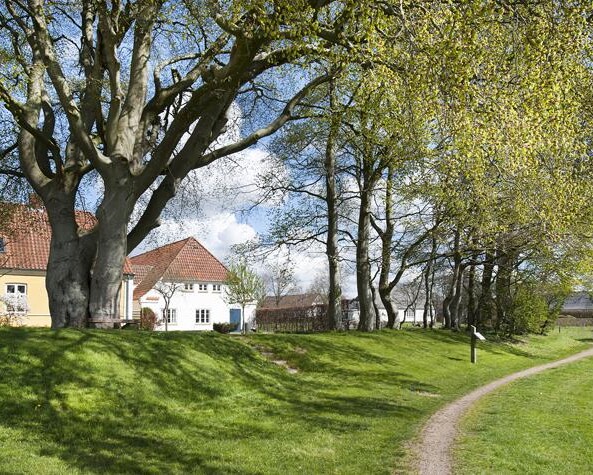 Vilslev-Jedsted er placeret syd for Esbjerg og nord for Ribe og der bor ca. 600 mennesker i byen. Arkivfoto: Esbjerg Kommune.