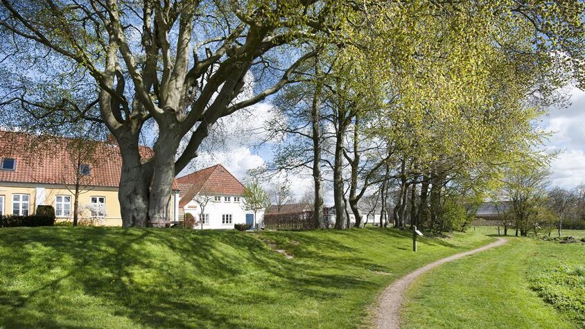 Vilslev-Jedsted er placeret syd for Esbjerg og nord for Ribe og der bor ca. 600 mennesker i byen. Arkivfoto: Esbjerg Kommune.