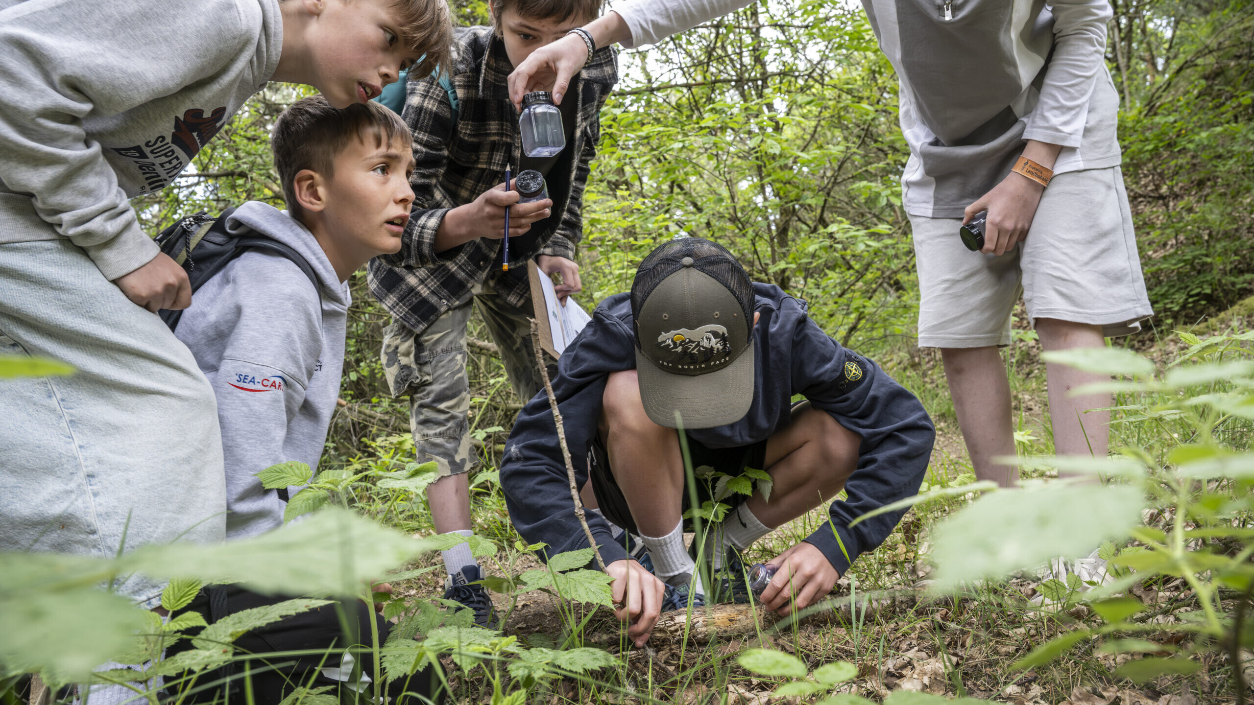 Elever fra 8. klasse på Tjæreborg Skole byttede bøger og skærme ud med undersøgelser i naturen, da MYRTHUE besøgte skolen som led i indsatsen 