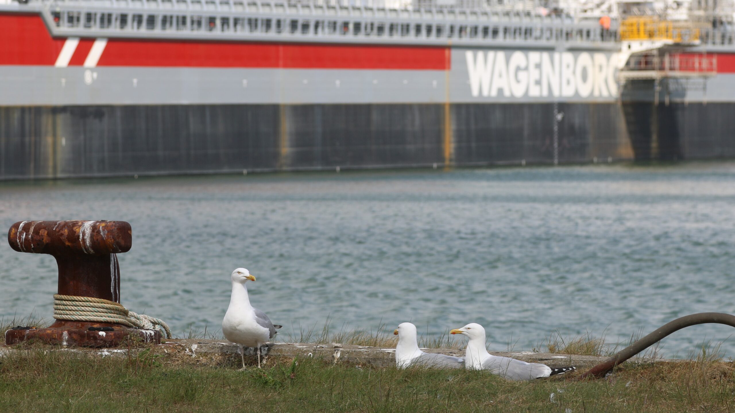 Mens alt var idyl - og Carbon Destrroyer lå i havnen. Foto: Johnny Tauman.